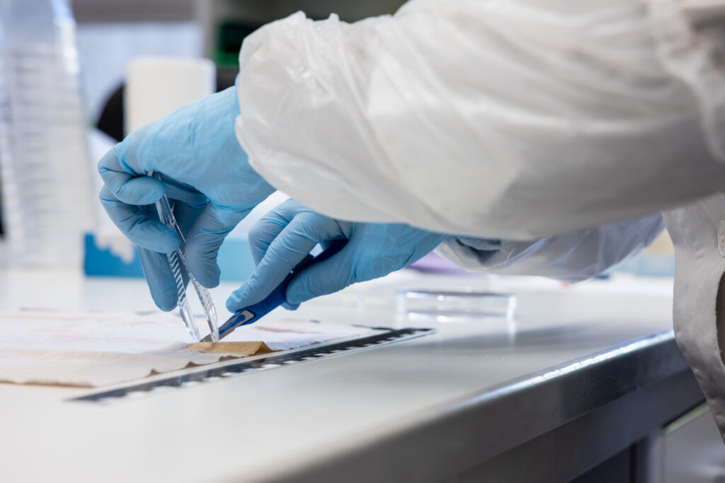 Person mit blauen Handschuhen hält eine Pinzette und nimmt an einem Tisch DNA-Analyse vor